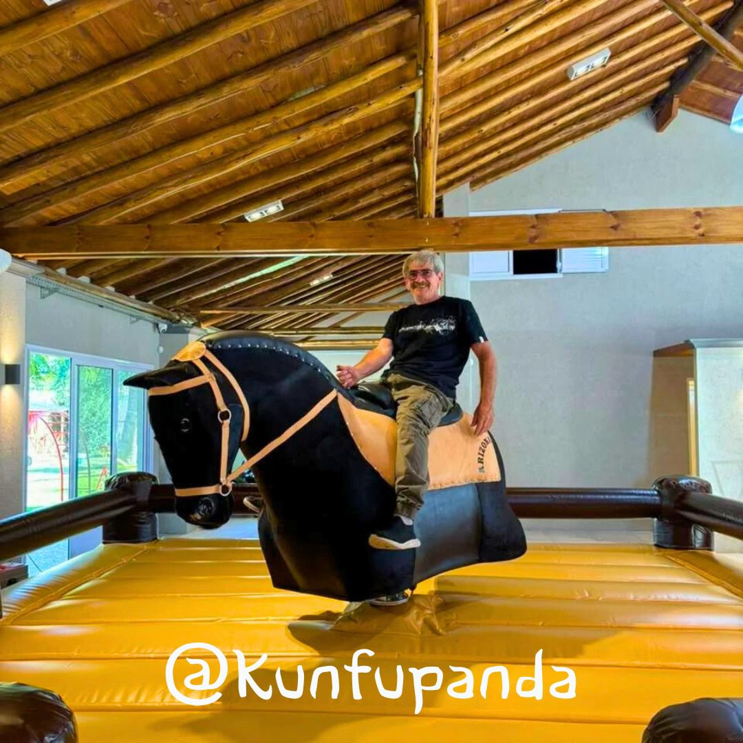 Caballo Mecánico Foto 3