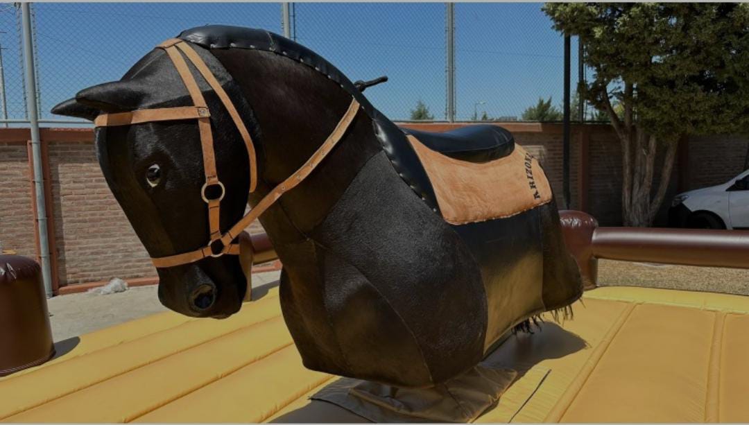 Caballo Mecánico Foto 5