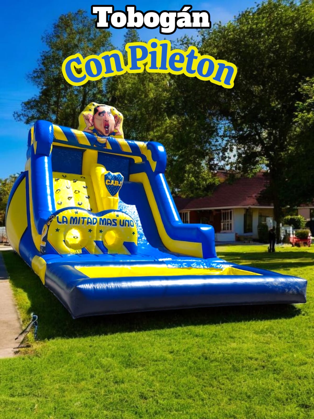 Inflable Tobogán con Pileta