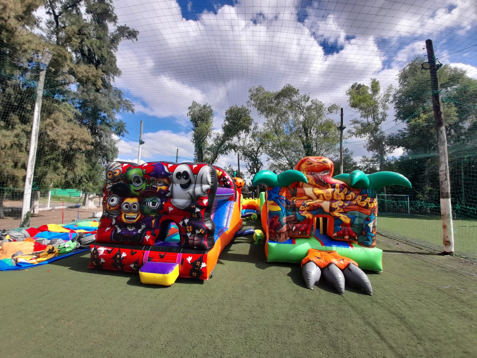 Circuitos Curvo + 2 carreras