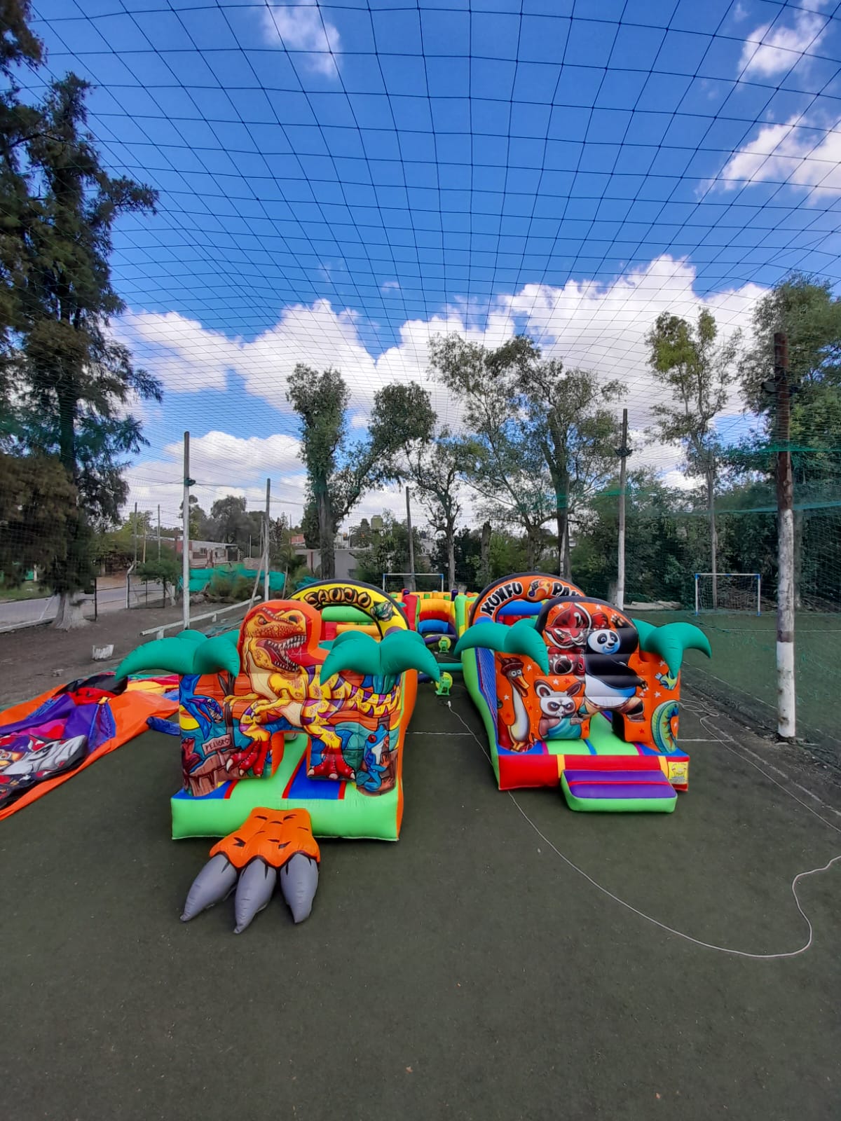 Circuitos Curvo + 2 carreras