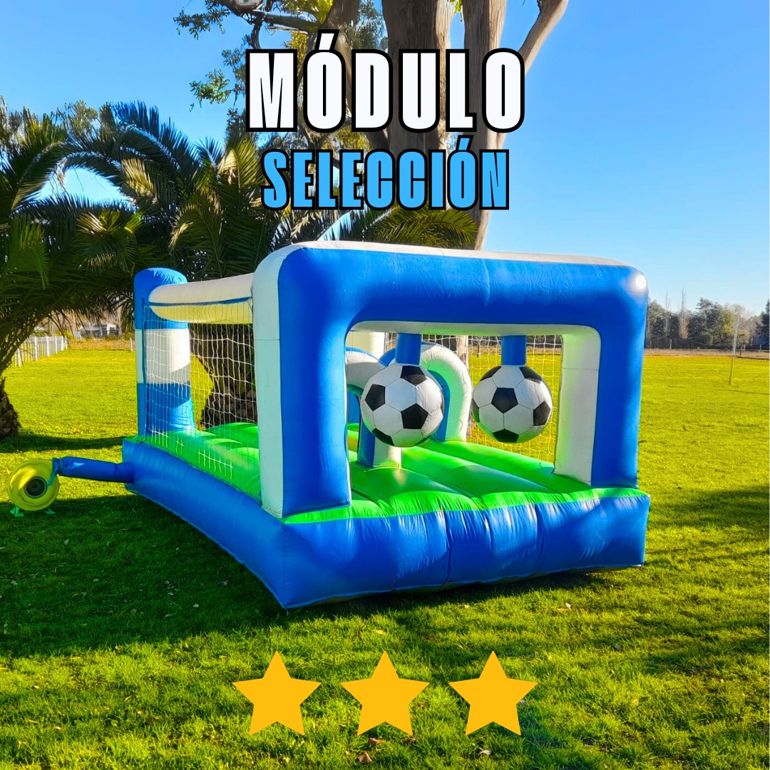 Módulo Selección