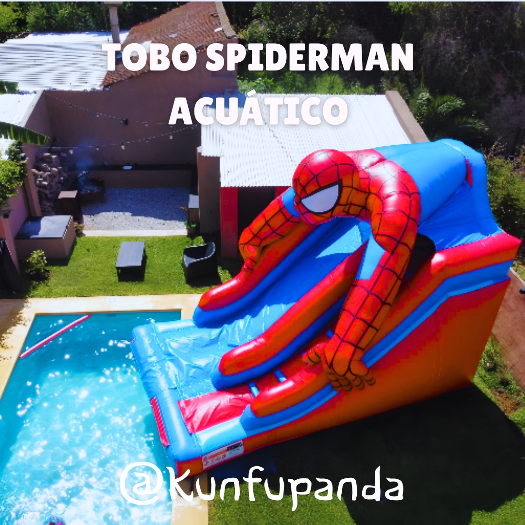 Modelo Tobogán Borde de Pileta